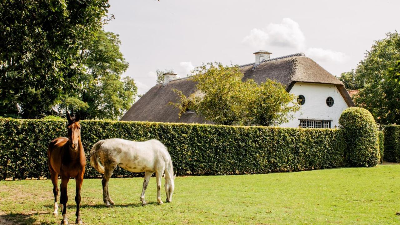 Bed and Breakfast Truyenhof à Brée Extérieur photo
